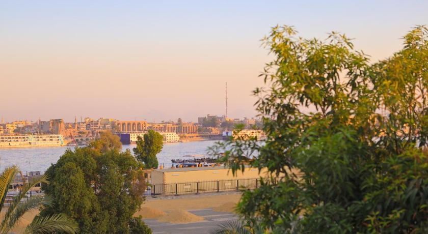 ルクソール Eternal Nile Guest House 5つ星 シングルルーム プール