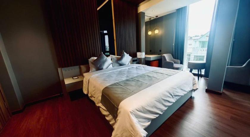 胡志明市 BM HOTEL 5星级 酒店 泳池