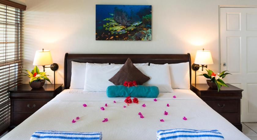 Image of Superior Oceanview Room 0