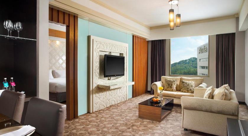 Image of Suite with City View 0