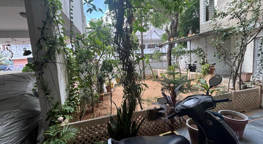 Jaipur Homestay - image 8