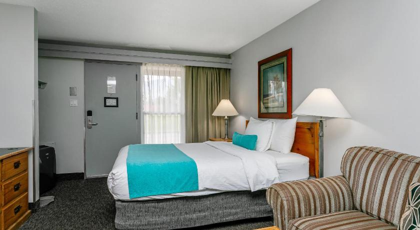Image of Family Suite 3