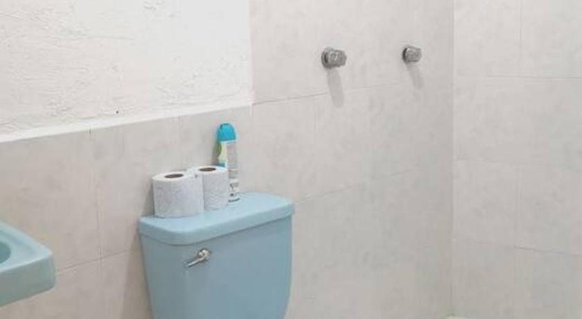 オアハカ chill green beautiful downtown area TV good Wifi 1つ星 シングルルーム プール