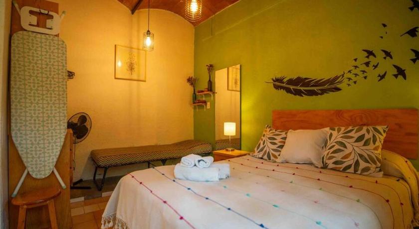 オアハカ chill green beautiful downtown area TV good Wifi 1つ星 シングルルーム スイート