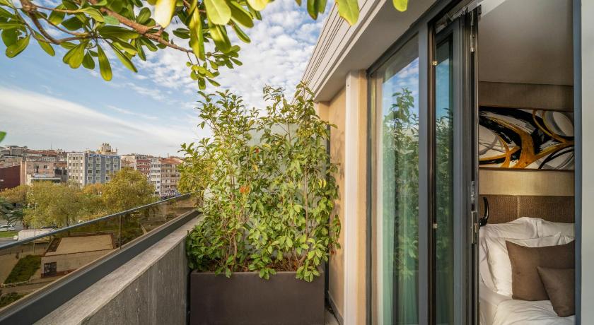 Image of Studio with Terrace 1