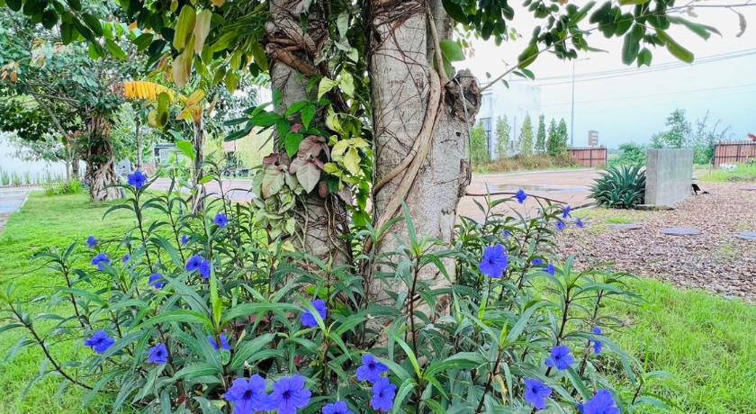 Phrae The Rimyom Resort Phrae 4-Star Hotel pool