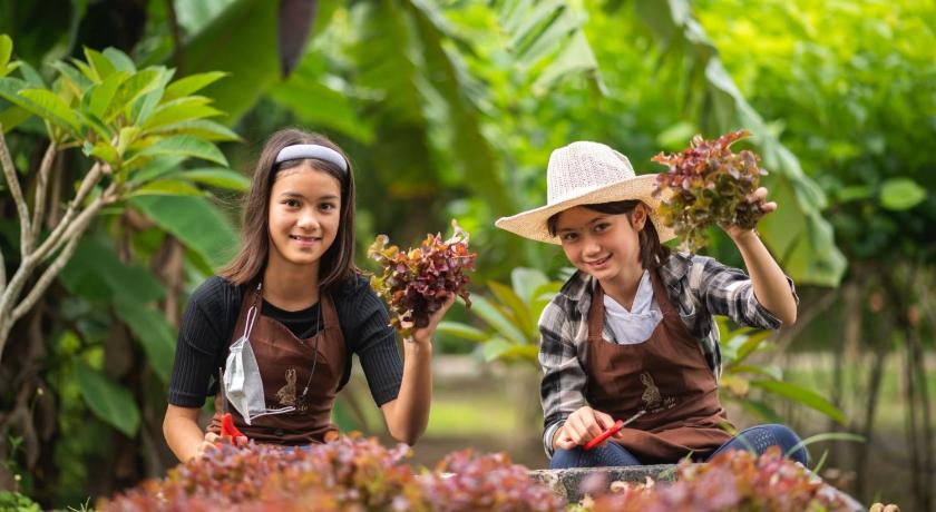 Green Me Organic Farm Stay Khao Yai - image 21