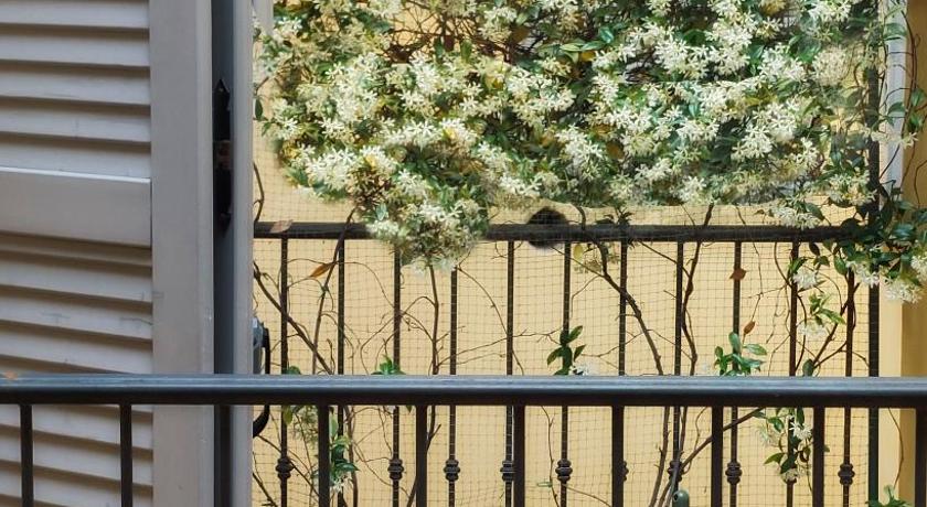 摩德纳 Dimora Farini 4星级 单人房 设施