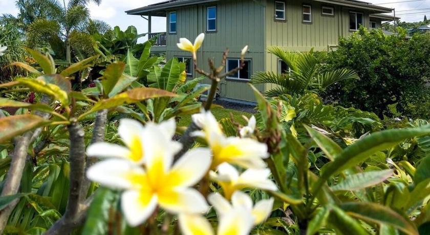 칼라오아 (HI) Central Oceanview Modern Cozy 3 Bed House 3성급 숙소 레스토랑