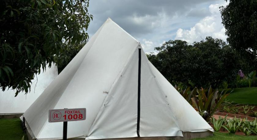 Image of Tent 5