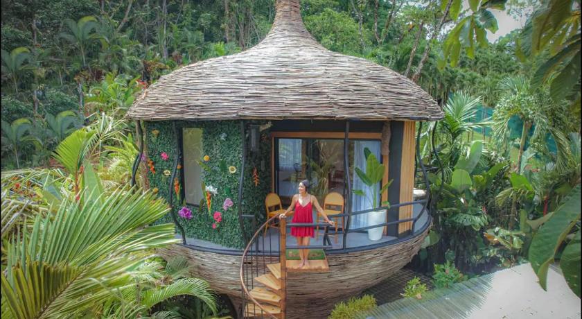Arenal Nest