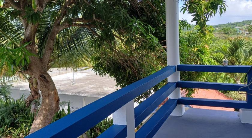 别克斯 Rooster Run Guest House offers Vieques travelers newly furnished quaint affordable airconditioned ro 2星级 酒店 泳池