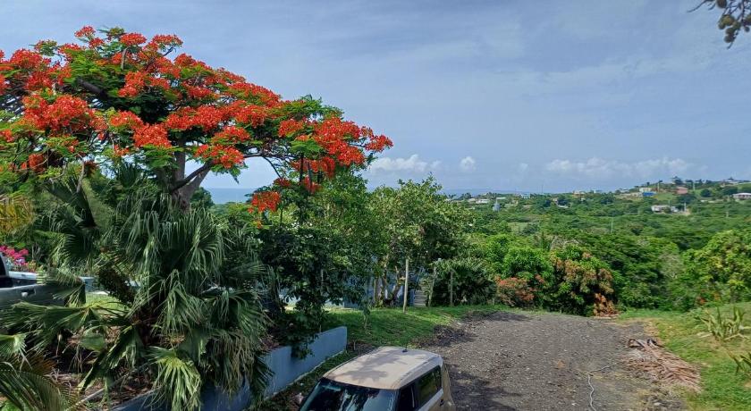 别克斯 Rooster Run Guest House offers Vieques travelers newly furnished quaint affordable airconditioned ro 2星级 酒店 设施