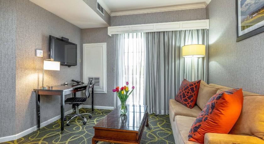 Image of Suite-1 King Bed, Non-Smoking, Whirlpool, Separate Living Area, Microwave And Refrigerator, Kitchene 0