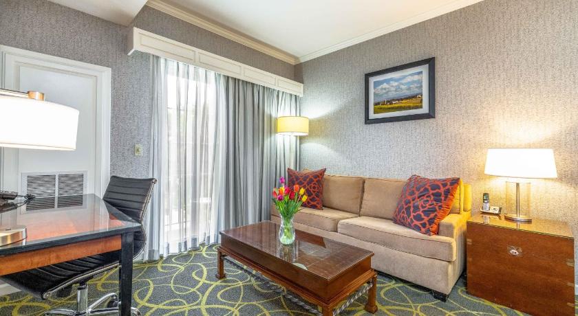 Image of Suite-1 King Bed, Non-Smoking, Whirlpool, Separate Living Area, Microwave And Refrigerator, Kitchene 3