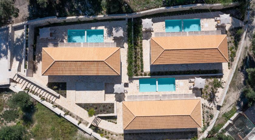 ULIVETO PAXOS