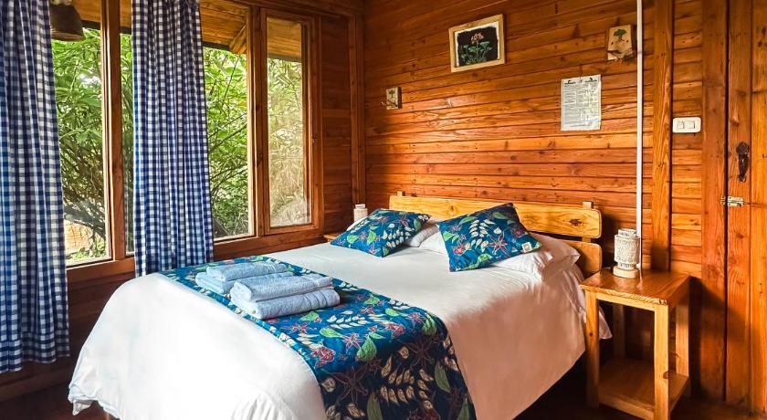 Hotel El Abrazo del Arbol