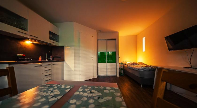 GottwaldHaus-Freiberg-Apartment / A