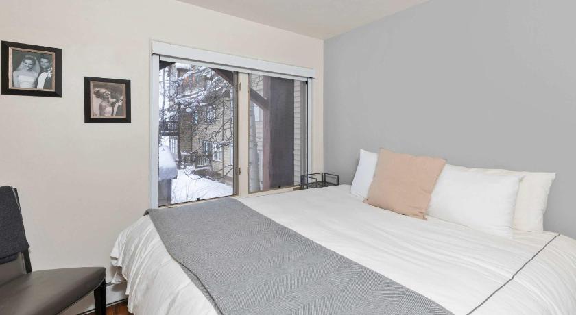 テルライド (CO) Remodeled Luxury Condo - Skii in Skii out 3つ星 宿泊施設 ロビー