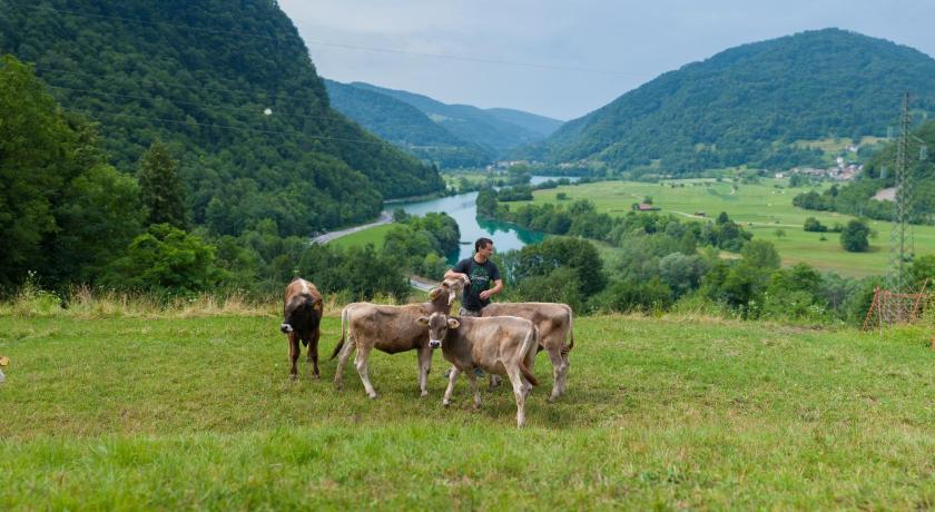 Tourist Farm Pri Kafolu photo
