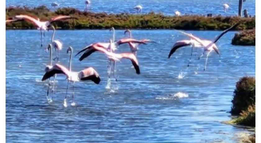 San Fernando Vivir es Increible 4-Star Single Room pool