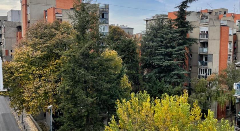 貝爾格勒 Apartment Sofia 2星级 单人房 套房