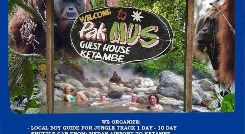 Tampilan Pak Mus Guest House Ketambe - 0813-7072-1793