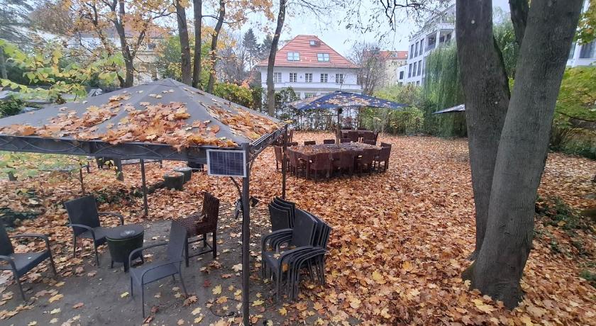 柏林 King David Garden 3星级 酒店 泳池