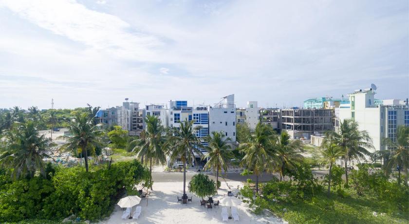 a beach with palm trees and palm trees, The White Harp Beach Hotel in Male City and Airport
