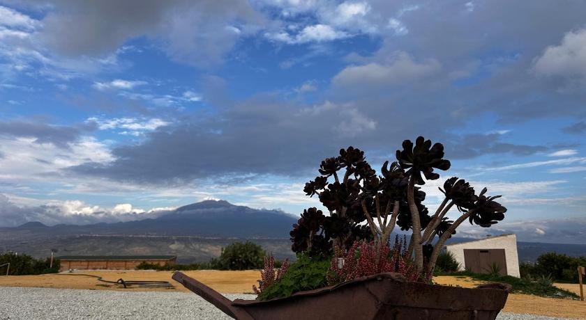 Agriturismo del Nonno