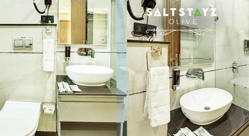 Saltstayz Select - Pitampura - image 26