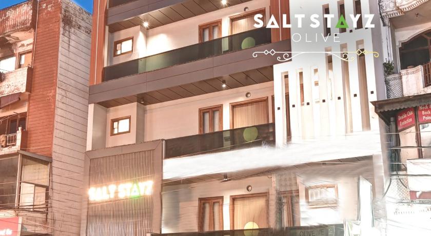 Saltstayz Select - Pitampura - image 45