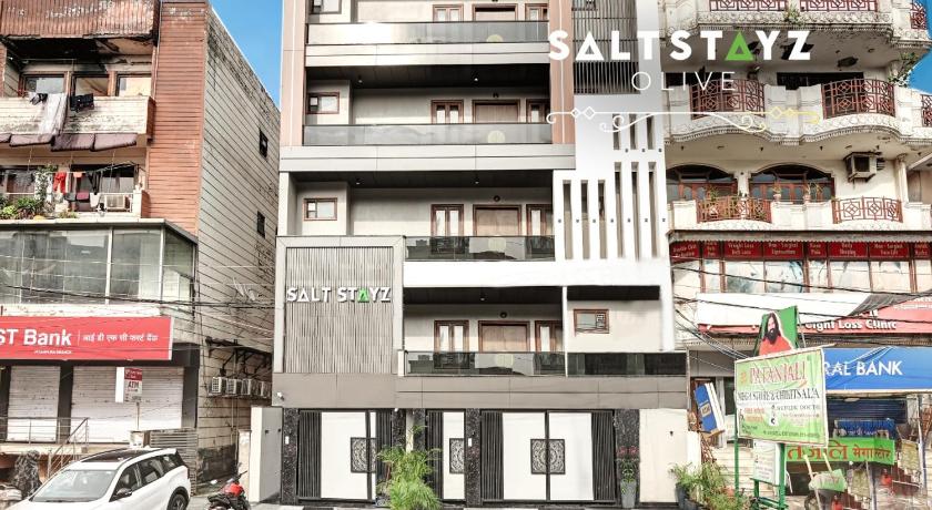 Saltstayz Select - Pitampura - image 47