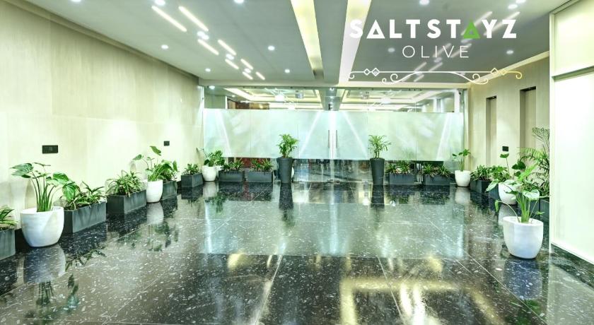 Saltstayz Select - Pitampura - image 29