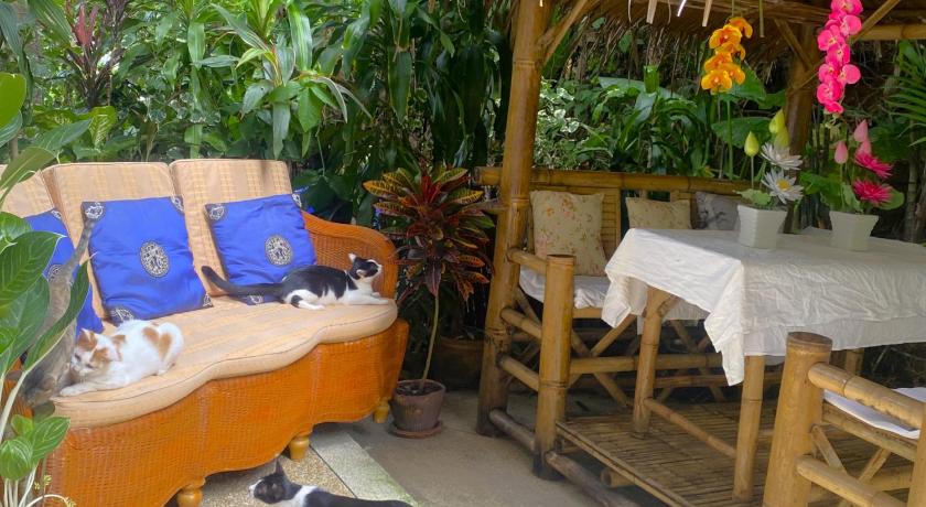 Image of Double Room with Garden View 17