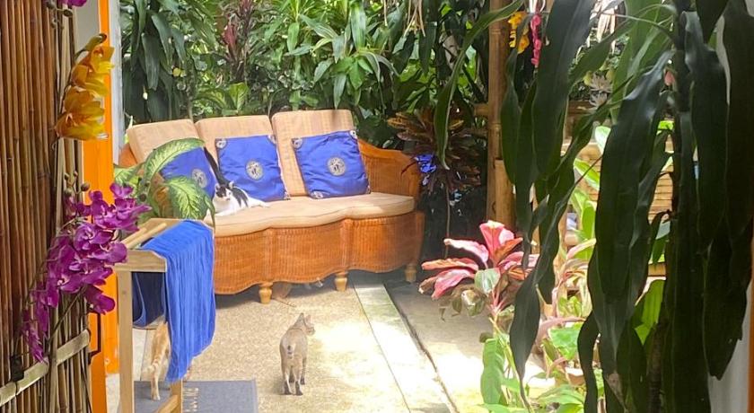 Image of Double Room with Garden View 16