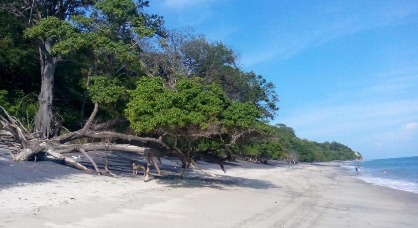 Istmo Beach and Jungle Bungalows photo