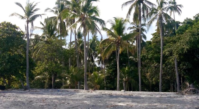 Istmo Beach and Jungle Bungalows photo