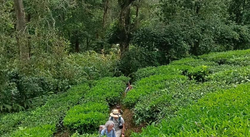 The Wayside Farm Cottage Munnar - image 42