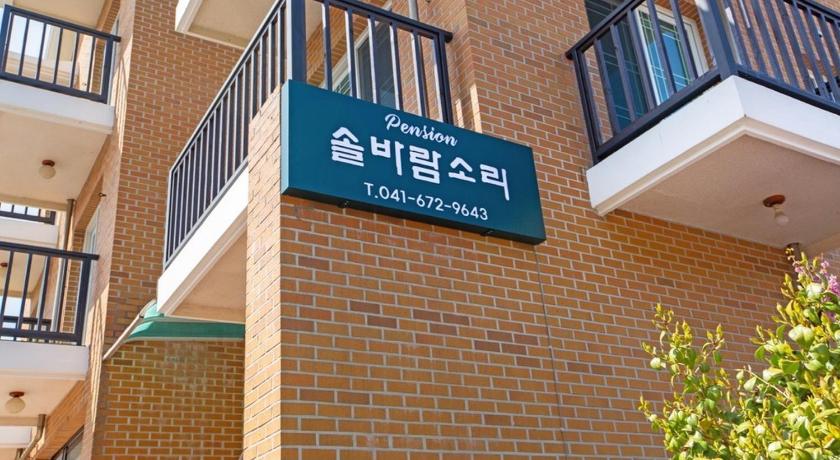 泰安 Solbaramsori Pension 3つ星 ゲストハウス プール