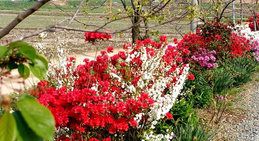 泰安 Sujeong Pension 2星级 民宿 外观