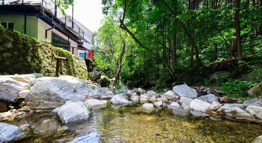 가평 숲속 다람쥐 펜션 (Forest Squirrel Pension) 3성급 게스트하우스 부대시설