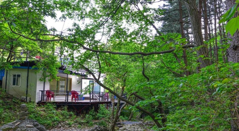 가평 숲속 다람쥐 펜션 (Forest Squirrel Pension) 3성급 게스트하우스 수영장