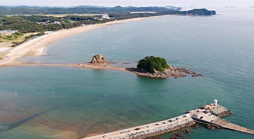 泰安 Cheongsachorong Pension Gapyeong 2つ星 ゲストハウス 客室