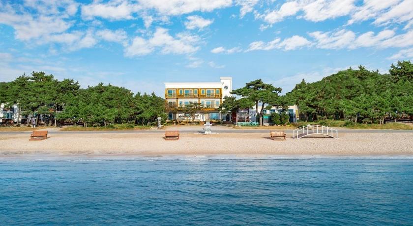 泰安 Anmyeondo Badasori Pension 3星级 民宿 泳池