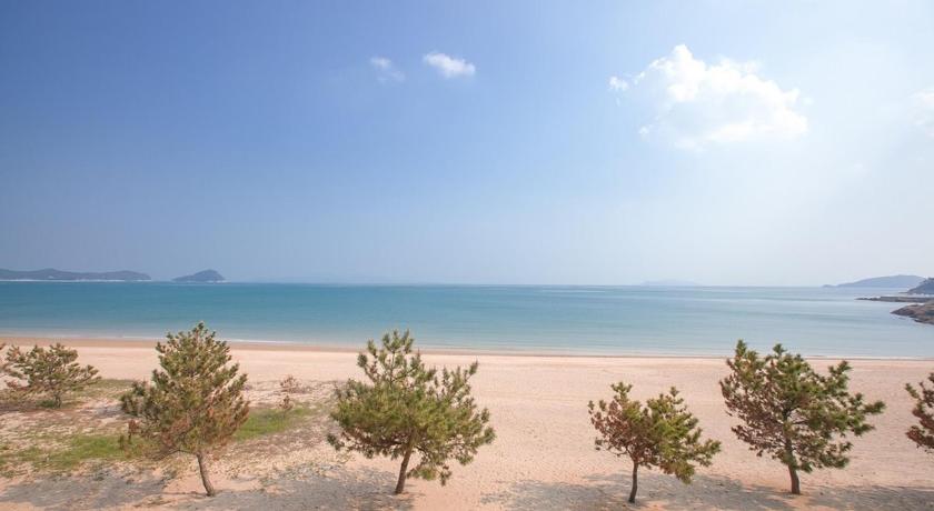 완도 아일랜드 (Ireland) 3성급 게스트하우스 레스토랑