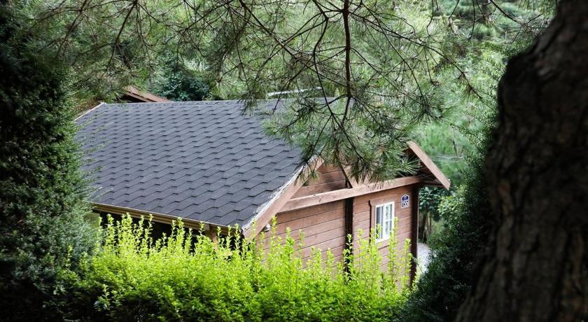 Danyang Sobaeksan Log Pension 3-Star Guesthouse restaurant