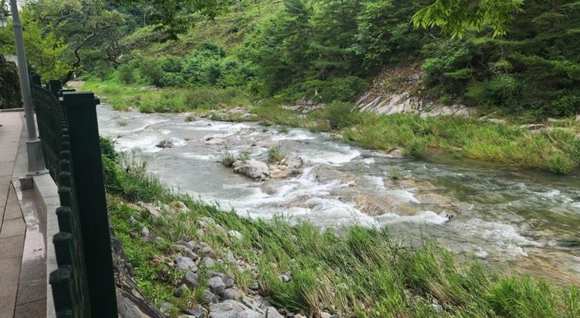 星州 Pocheon Park Hotel 3星级 民宿 泳池