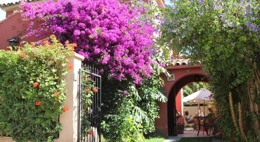 El Arbol Hostel — Hotel in La Serena