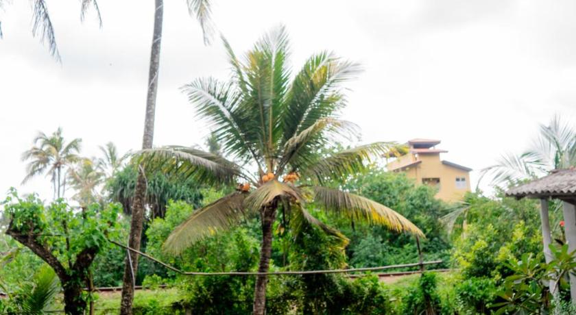 Asanka Surf House - image 5
